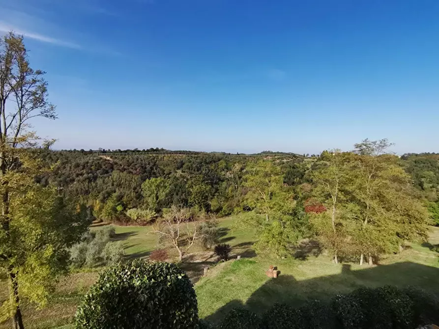 Immagine 10 di Rustico / casale in vendita  a Palaia