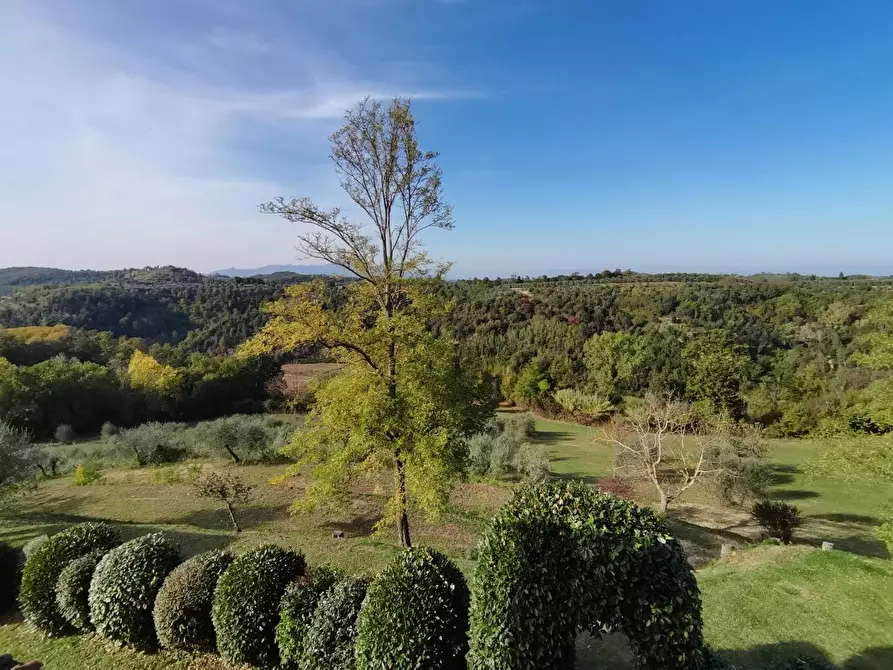 Immagine 26 di Rustico / casale in vendita  a Palaia