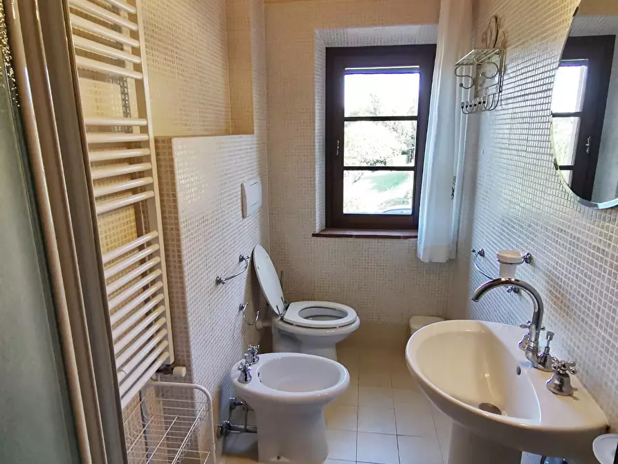 Immagine 32 di Rustico / casale in vendita  a Palaia