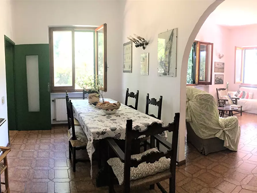 Immagine 3 di Villa in vendita  a Massa