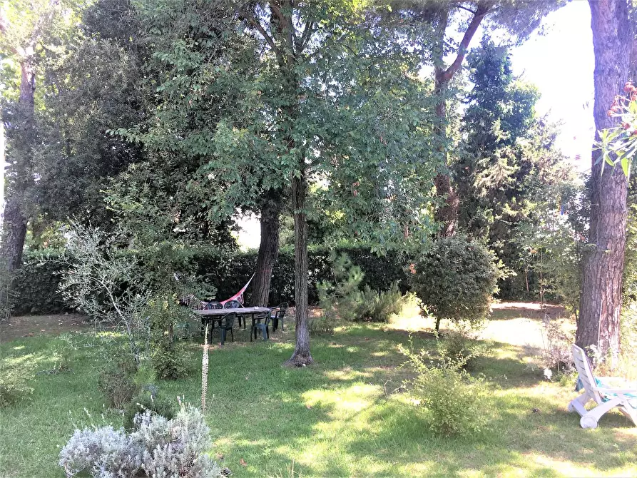 Immagine 18 di Villa in vendita  a Massa