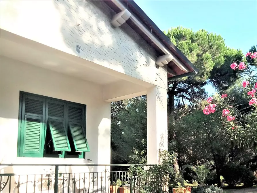 Immagine 14 di Villa in vendita  a Massa