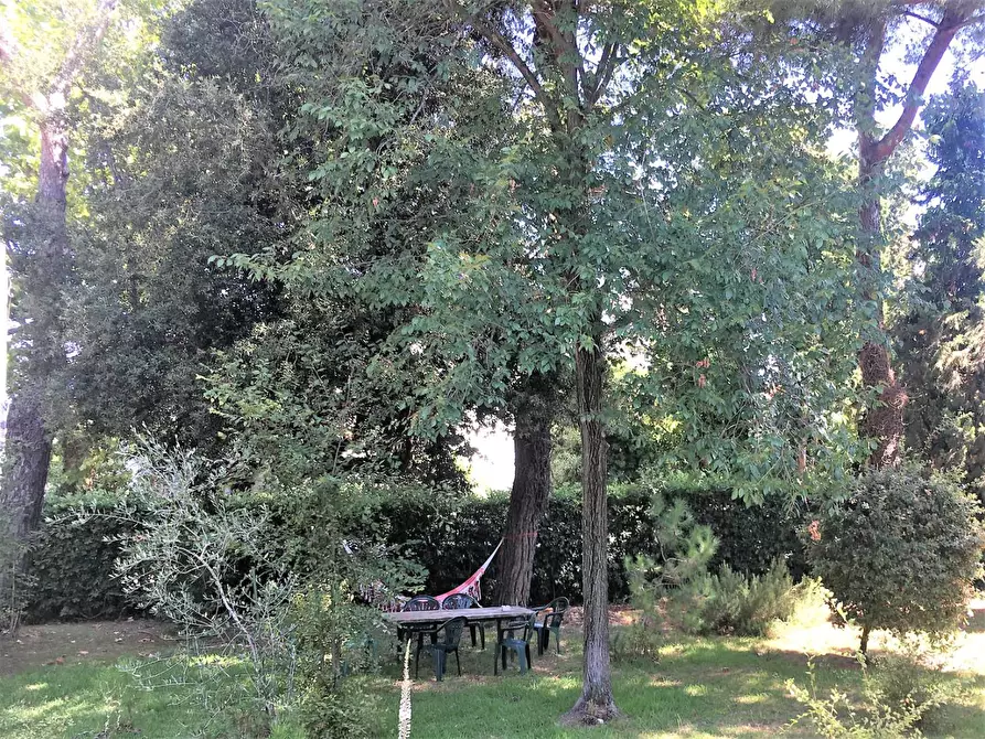 Immagine 17 di Villa in vendita  a Massa