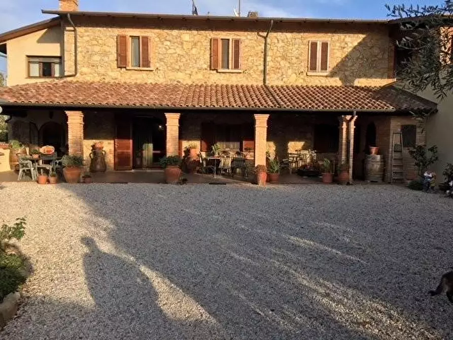 Immagine 3 di Porzione di casa in vendita  a Bibbona