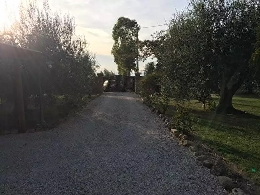Immagine 38 di Porzione di casa in vendita  a Bibbona