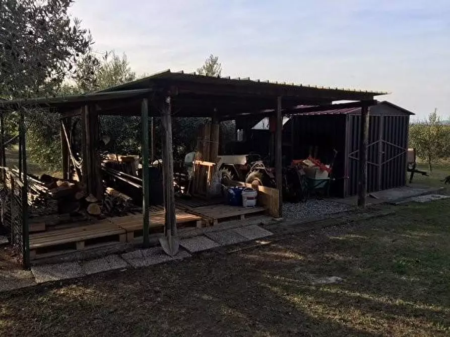 Immagine 34 di Porzione di casa in vendita  a Bibbona