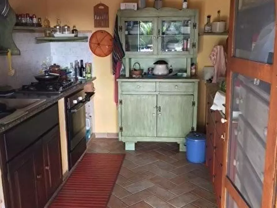 Immagine 31 di Porzione di casa in vendita  a Bibbona
