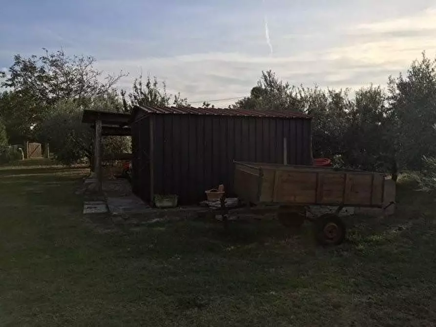 Immagine 36 di Porzione di casa in vendita  a Bibbona