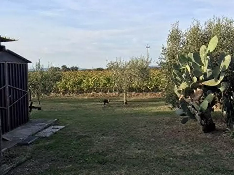 Immagine 35 di Porzione di casa in vendita  a Bibbona