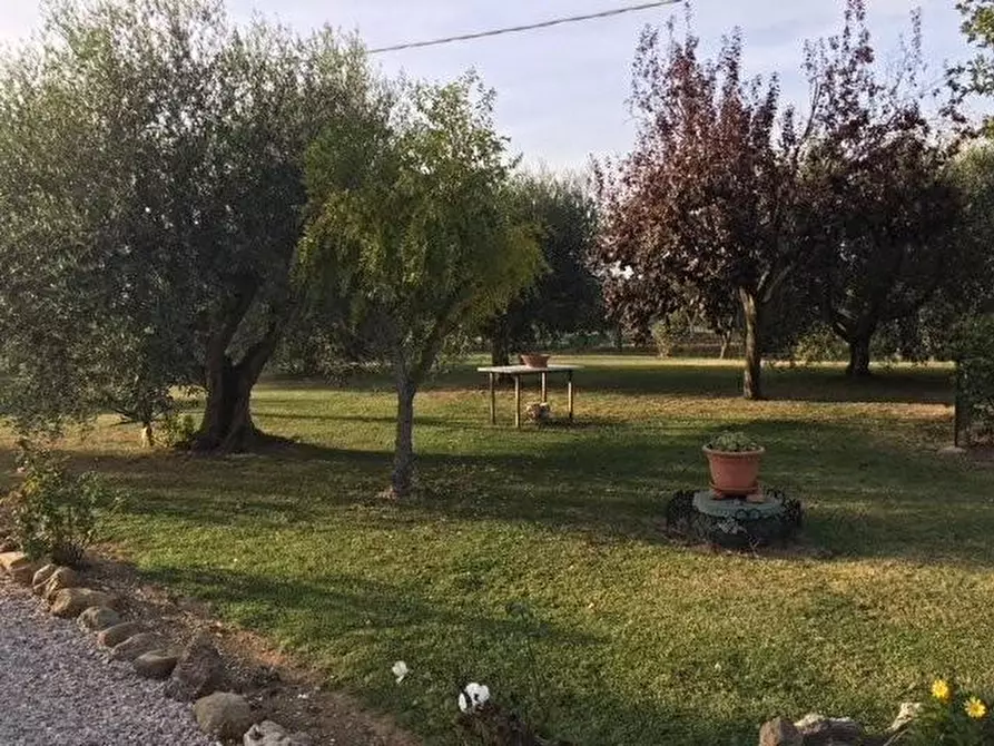 Immagine 39 di Porzione di casa in vendita  a Bibbona