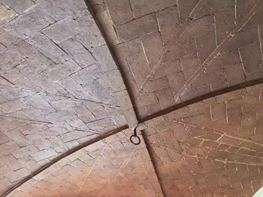 Immagine 30 di Porzione di casa in vendita  a Bibbona