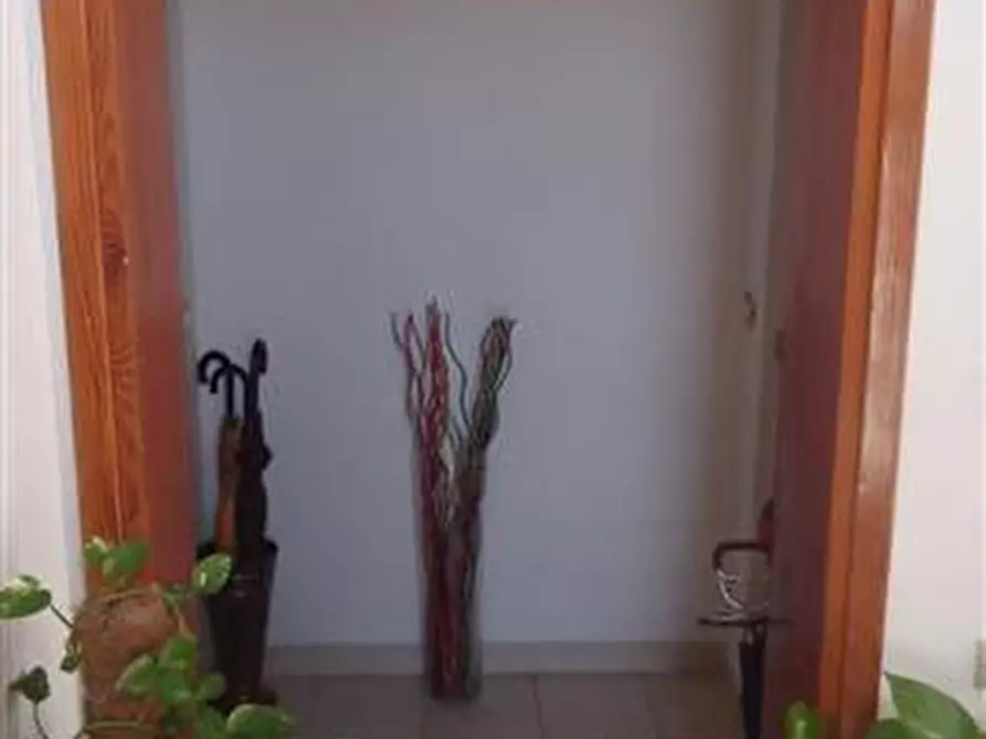 Immagine 5 di Appartamento in vendita  a Campi Bisenzio