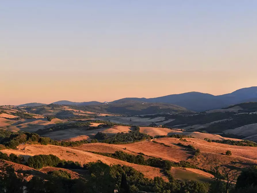 Immagine 14 di Porzione di casa in vendita  a Casole D'elsa