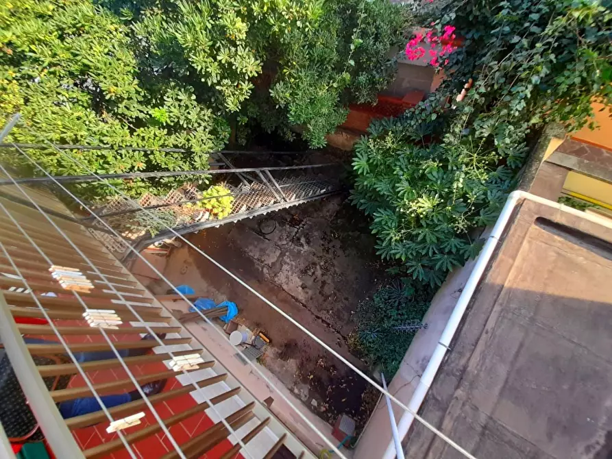 Immagine 10 di Appartamento in vendita  a Rosignano Marittimo