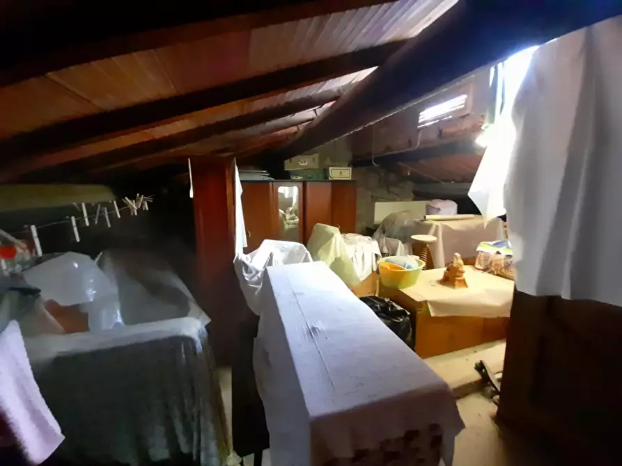 Immagine 11 di Appartamento in vendita  a Rosignano Marittimo