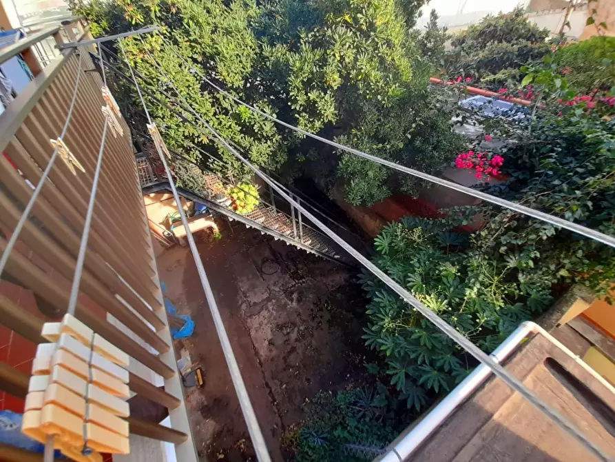 Immagine 8 di Appartamento in vendita  a Rosignano Marittimo