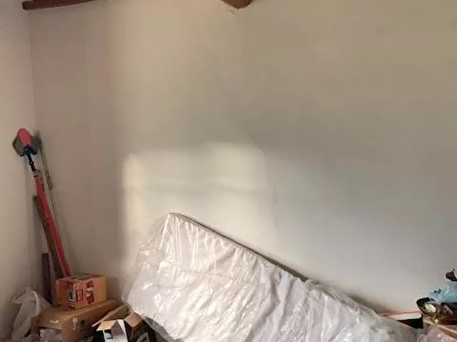 Immagine 6 di Terratetto in vendita  a Calci