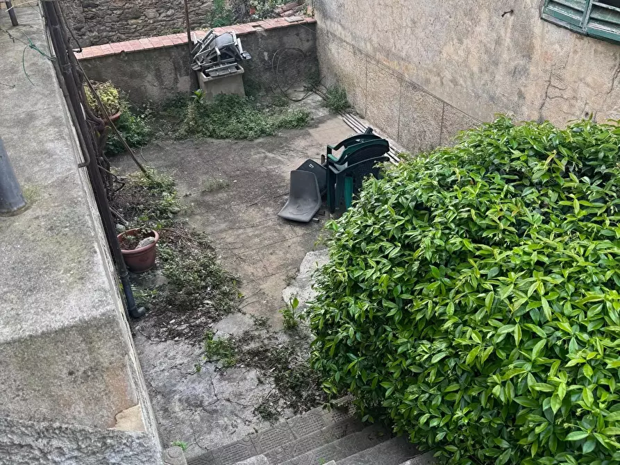 Immagine 3 di Terratetto in vendita  a Calci