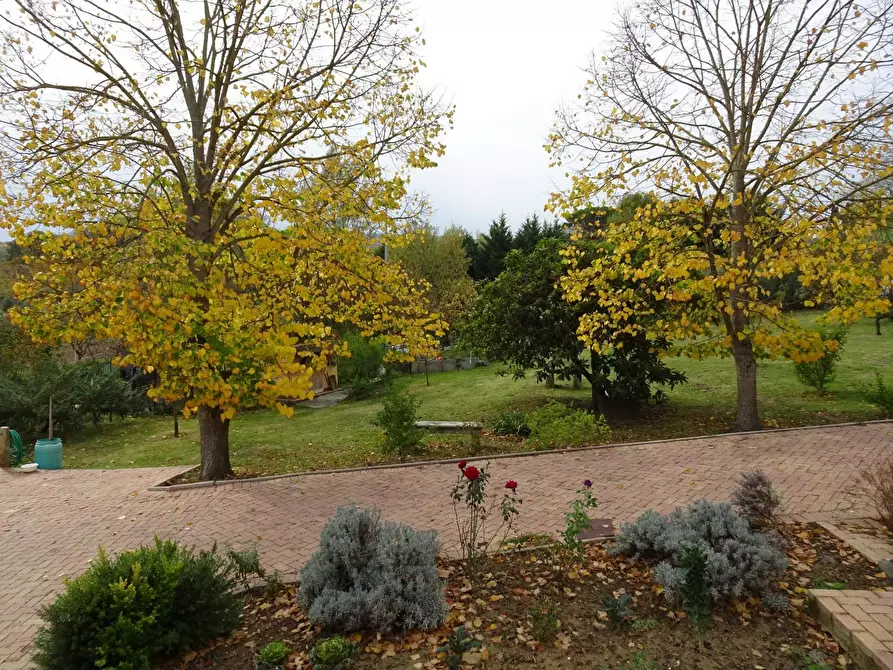 Immagine 19 di Villa in vendita  a Casciana Terme Lari