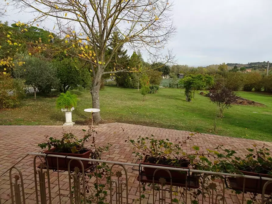 Immagine 6 di Villa in vendita  a Casciana Terme Lari