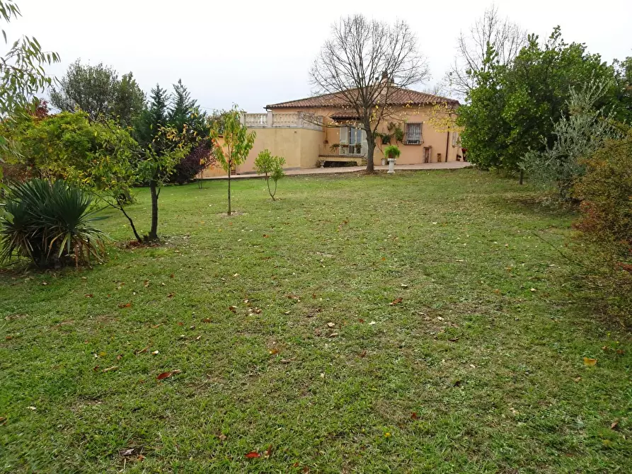 Immagine 22 di Villa in vendita  a Casciana Terme Lari