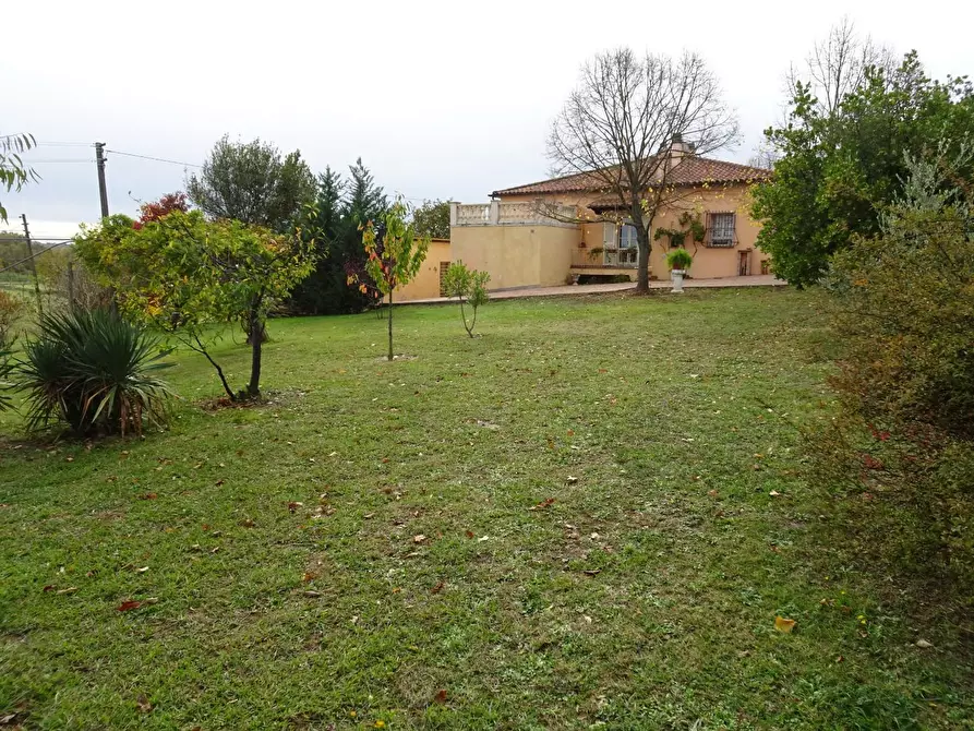 Immagine 23 di Villa in vendita  a Casciana Terme Lari