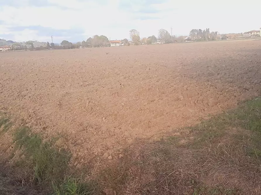 Immagine 1 di Terreno agricolo in vendita  a Santa Maria A Monte
