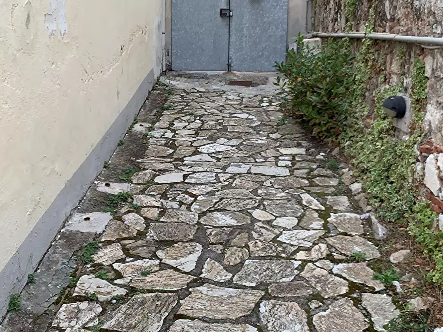 Immagine 3 di Terratetto in vendita  a Pisa