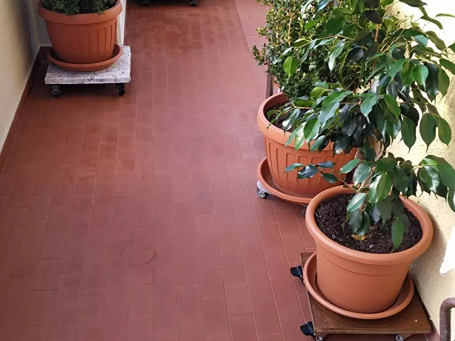 Immagine 13 di Appartamento in vendita  a Massa