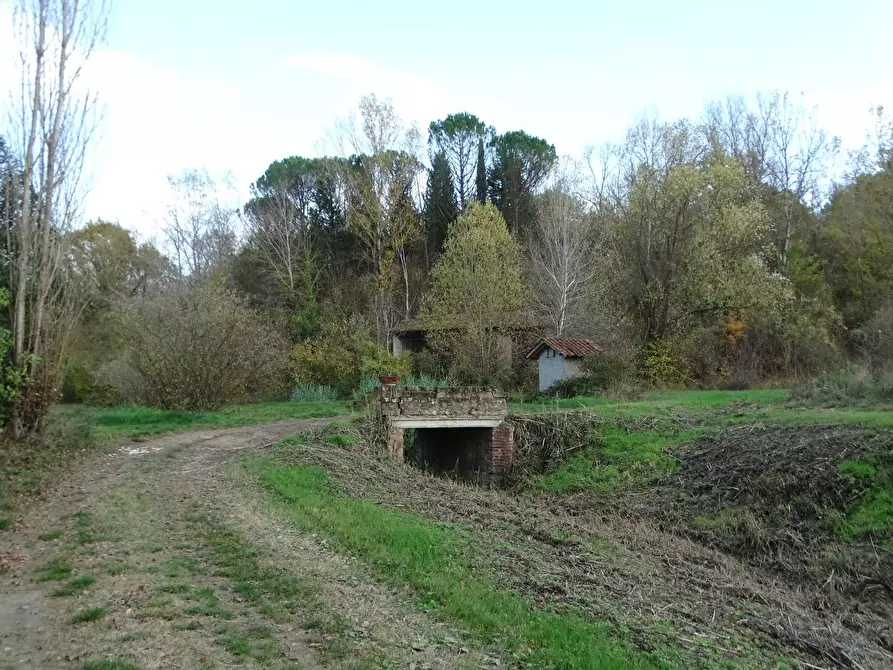 Immagine 3 di Terreno agricolo in vendita  a San Miniato