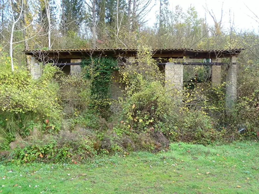 Immagine 6 di Terreno agricolo in vendita  a San Miniato