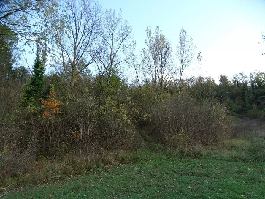 Immagine 21 di Terreno agricolo in vendita  a San Miniato