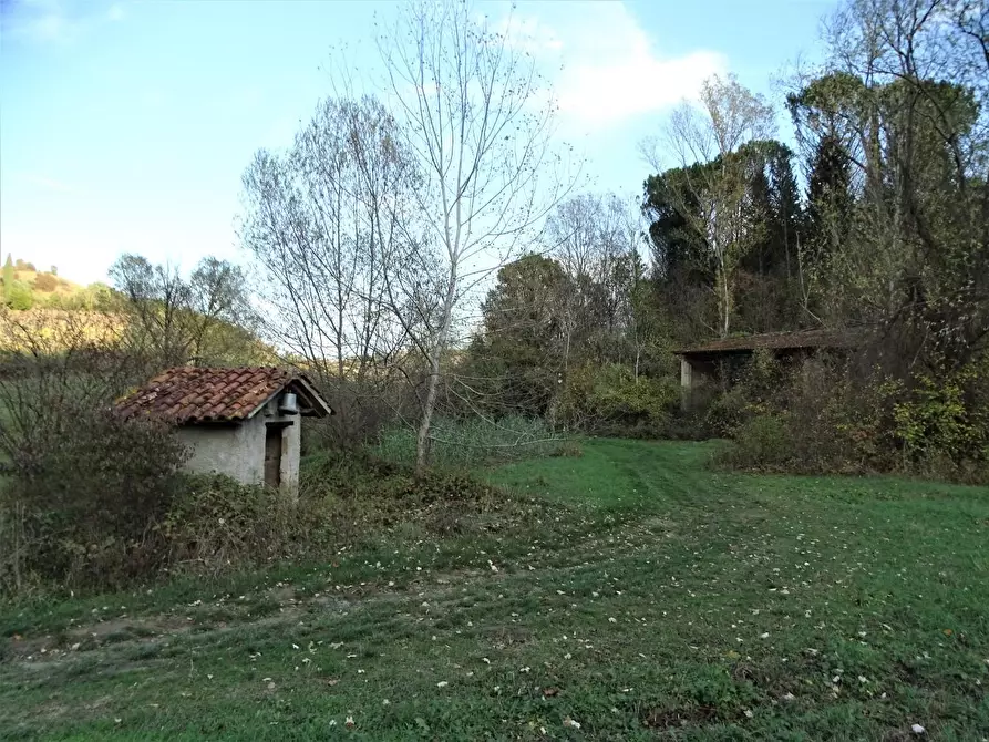 Immagine 1 di Terreno agricolo in vendita  a San Miniato