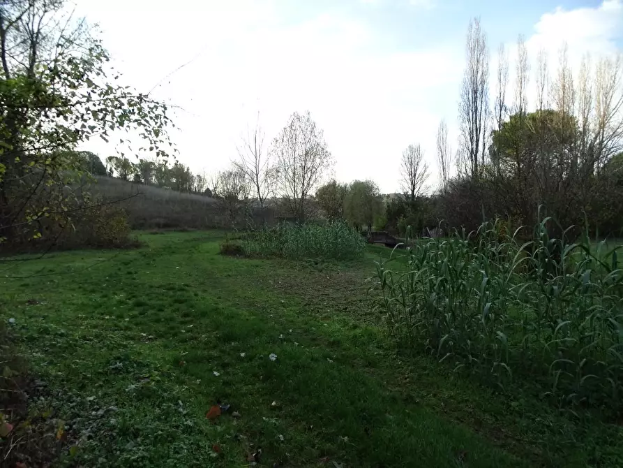 Immagine 17 di Terreno agricolo in vendita  a San Miniato