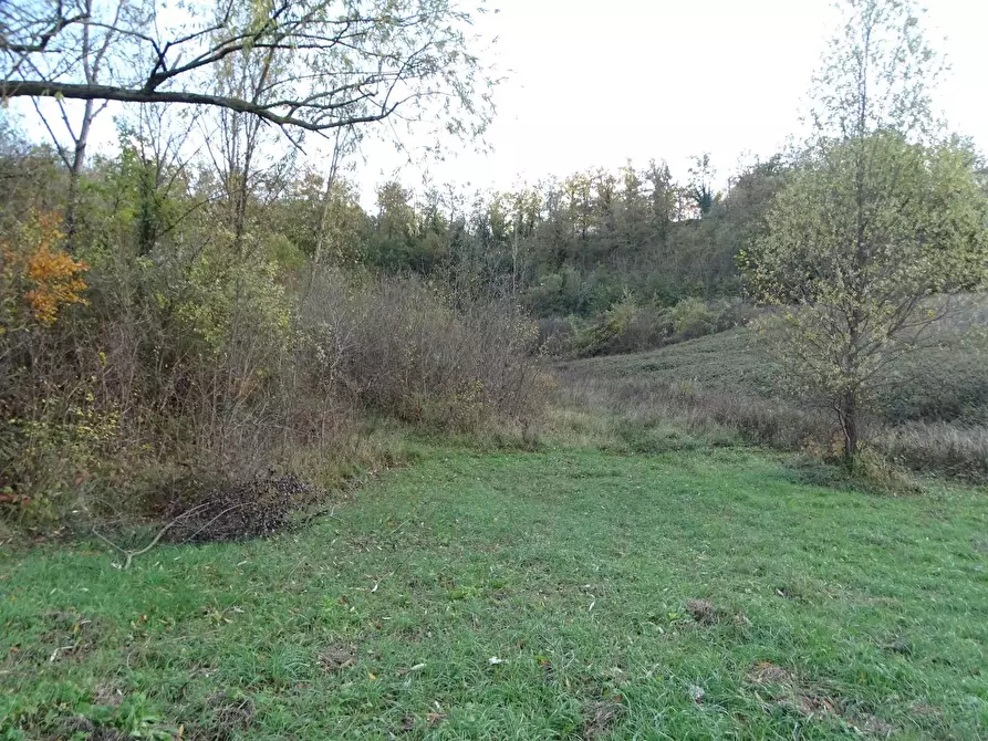 Immagine 19 di Terreno agricolo in vendita  a San Miniato