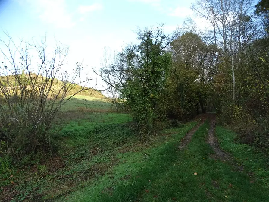 Immagine 15 di Terreno agricolo in vendita  a San Miniato