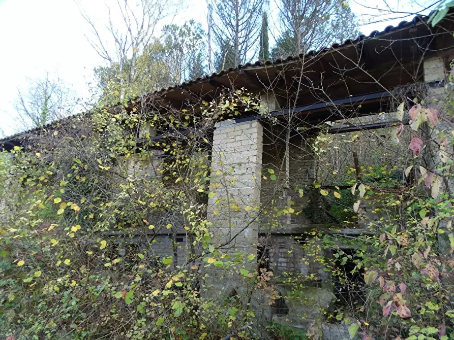 Immagine 7 di Terreno agricolo in vendita  a San Miniato