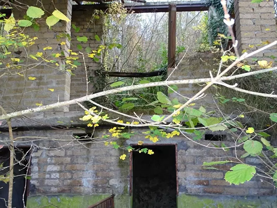 Immagine 8 di Terreno agricolo in vendita  a San Miniato