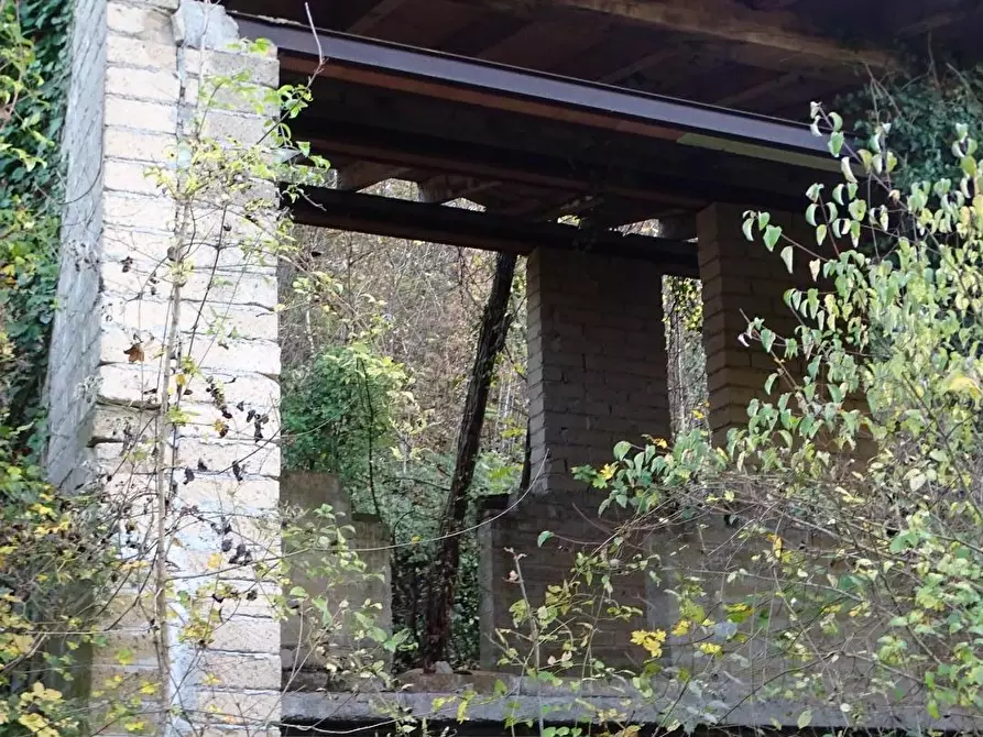 Immagine 12 di Terreno agricolo in vendita  a San Miniato