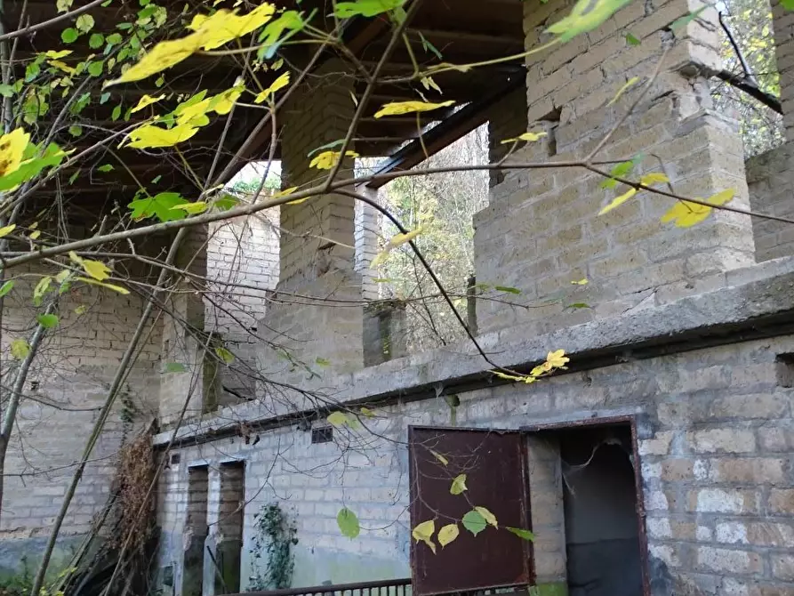 Immagine 9 di Terreno agricolo in vendita  a San Miniato