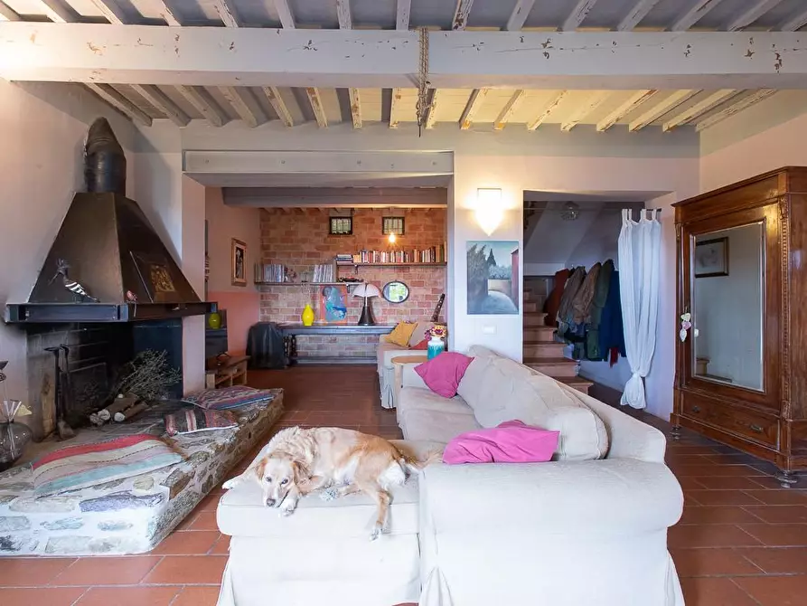 Immagine 52 di Rustico / casale in vendita  a Pisa