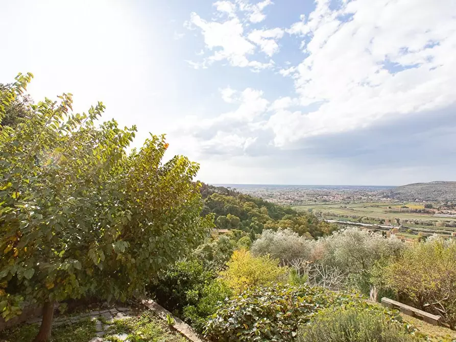 Immagine 19 di Rustico / casale in vendita  a Pisa