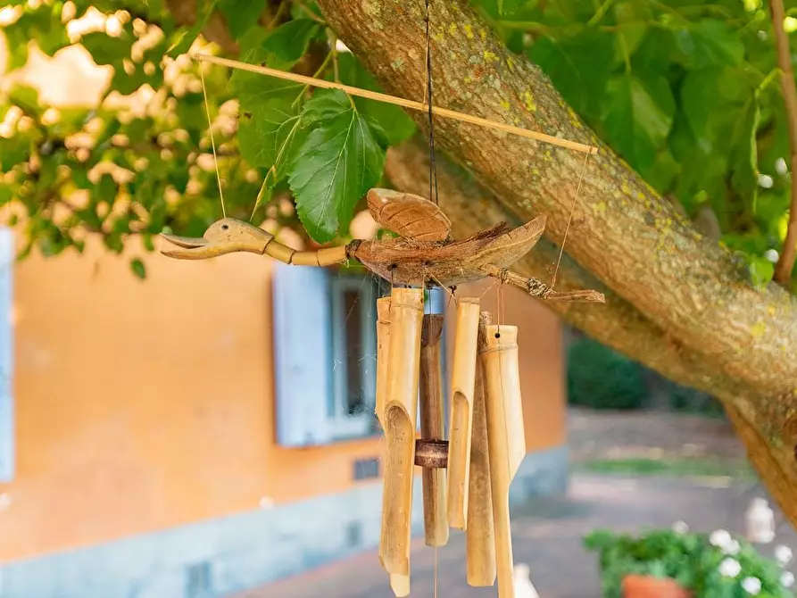 Immagine 34 di Rustico / casale in vendita  a Pisa
