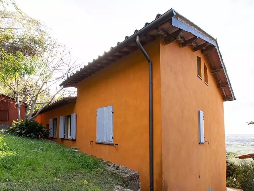 Immagine 47 di Rustico / casale in vendita  a Pisa