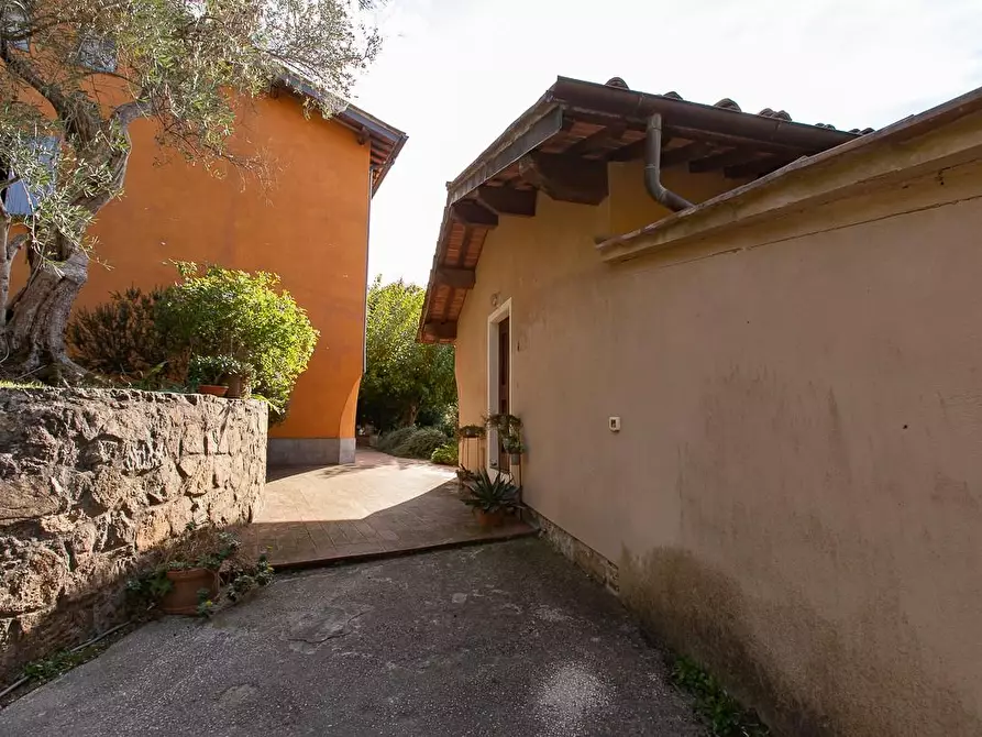 Immagine 36 di Rustico / casale in vendita  a Pisa