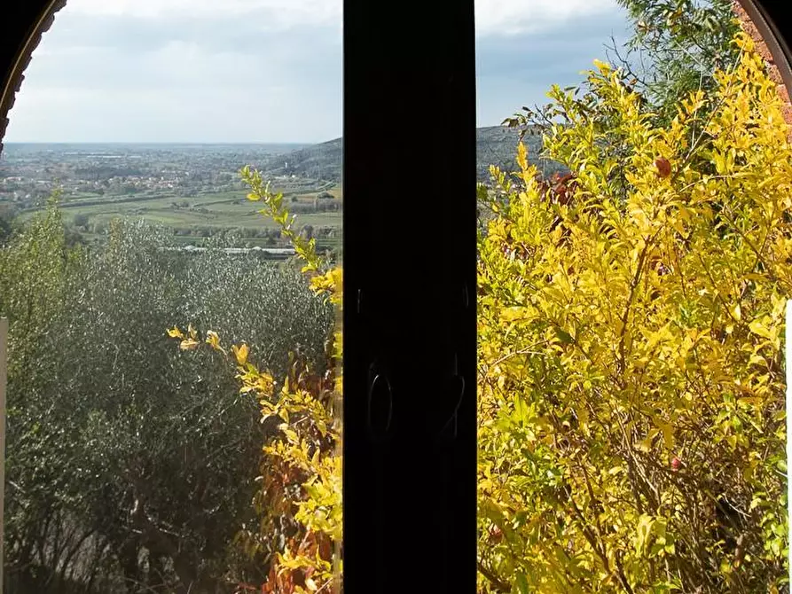 Immagine 29 di Rustico / casale in vendita  a Pisa
