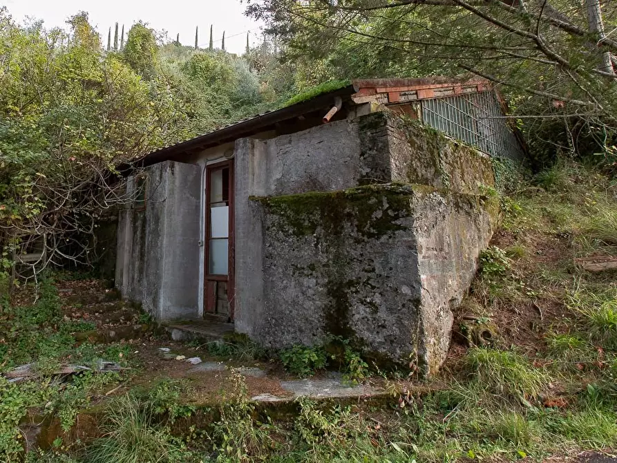 Immagine 51 di Rustico / casale in vendita  a Pisa