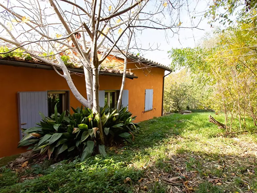 Immagine 46 di Rustico / casale in vendita  a Pisa