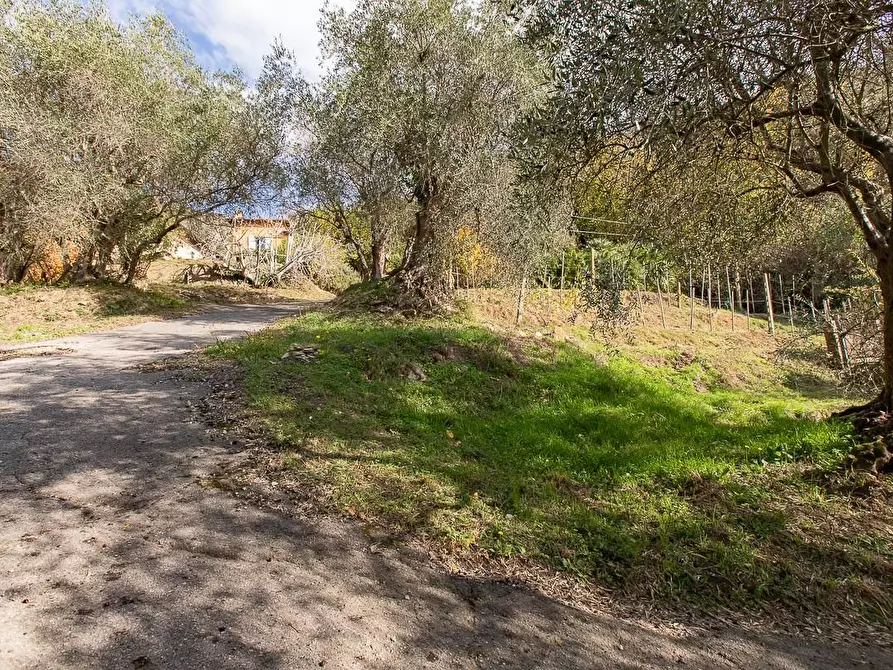 Immagine 41 di Rustico / casale in vendita  a Pisa