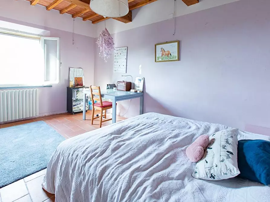 Immagine 16 di Rustico / casale in vendita  a Pisa